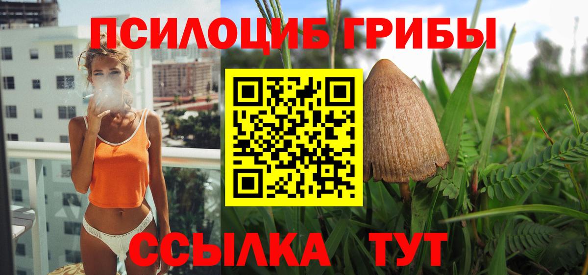Галлюциногенные грибы Cubensis  Псилоцибиновые грибы мухоморы  Вход с VPN  Кызыл 